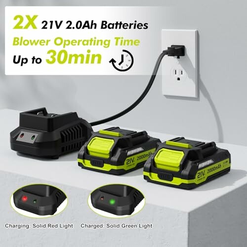 Two 21V 2.0Ah batteries with charger for cordless blower, 30-minute operation.